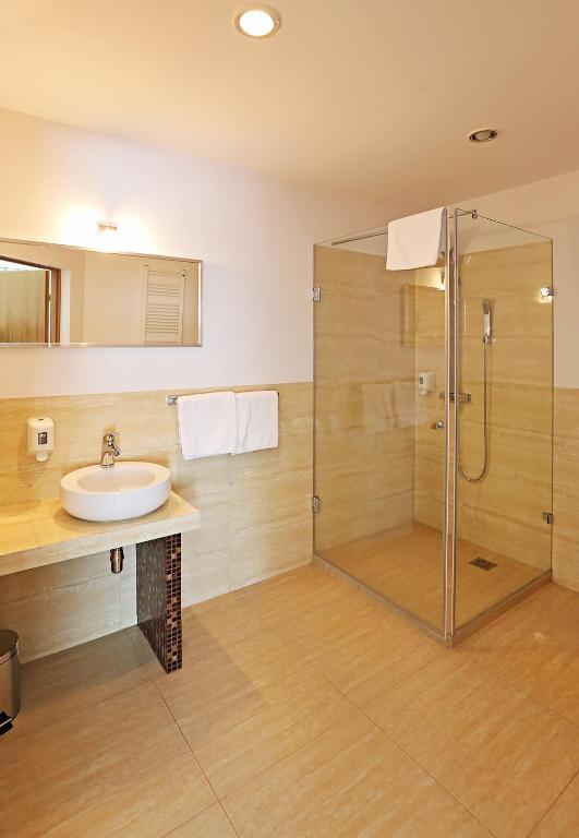 Hotel Brzoza Room photo
